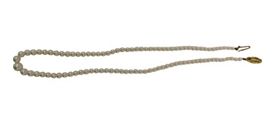 Lot 543 - A single strand cultured pearl necklace, the...