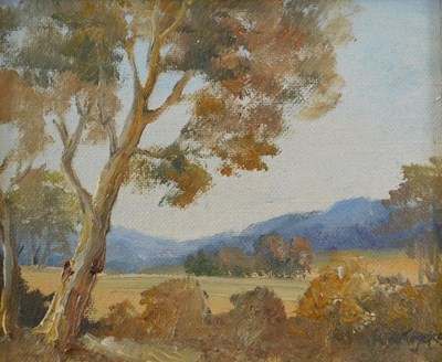 Lot 826 - Nan Rogers (Australian). Landscape with trees,...