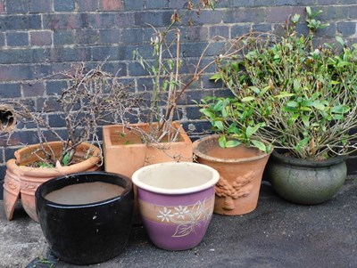 Lot 751 - A group of glazed pottery and terracotta plant...