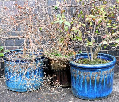Lot 752 - A pair of blue glazed pottery plant pots,...
