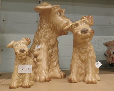 Lot 2007 - Three graduated Sylvac brown Terriers.