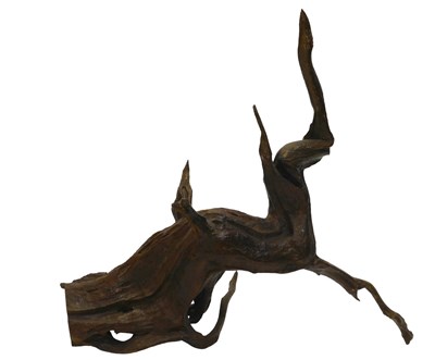 Lot 940 - A varnished section of wooden root of...