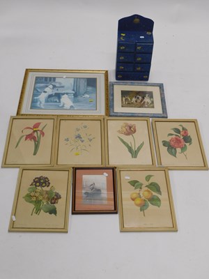 Lot 2273 - Framed pictures and prints, to include fruit,...