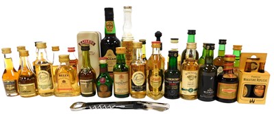 Lot 216 - Assorted whisky miniatures, including Talisker,...