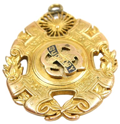 Lot 314 - A 9ct gold and enamel sporting medallion,...