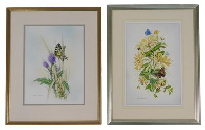 Lot 492 - Eric Osborne. Study of honeysuckle,...